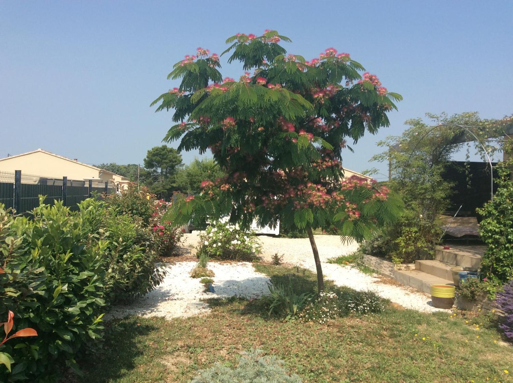 Chambre D Hotes Dans Le Vaucluse Мазан Екстериор снимка